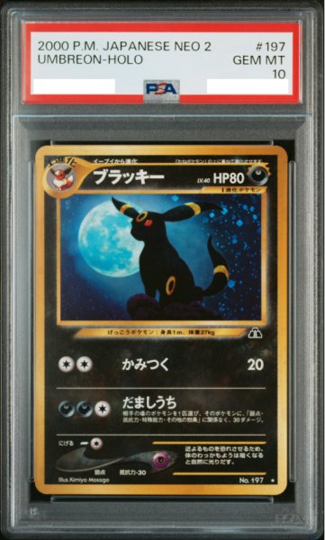 画像1: 【PSA10】ブラッキー【★】{旧裏}【鑑定品】 (1)